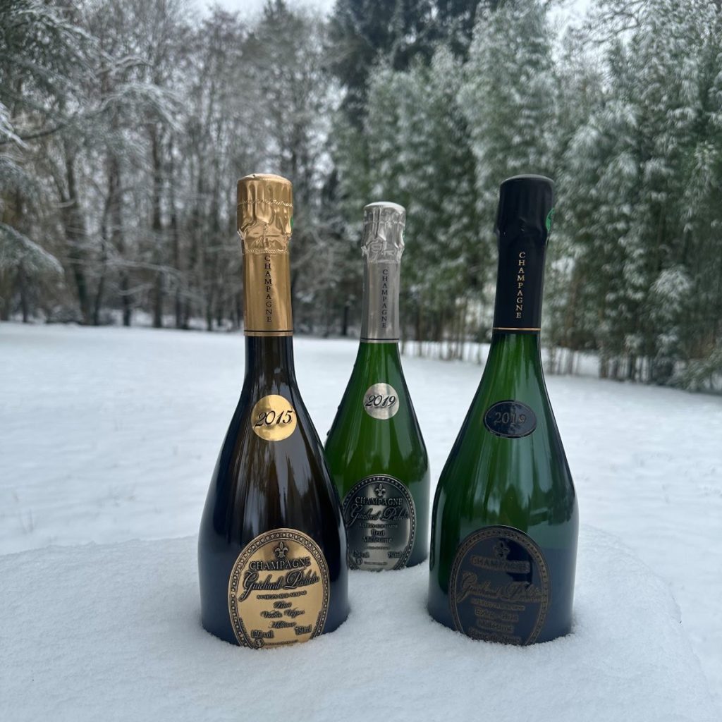 Coffret bouteille Champagne Guichard Pichelin 2